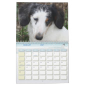 Dachshund Calendar Kalender (Feb 2027)