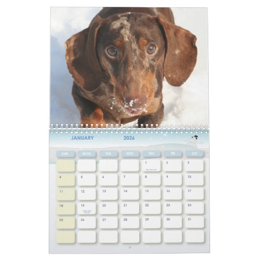 Dachshund Calendar Kalender (Jan 2026)