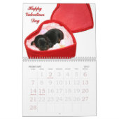 Dachshund Calender Kalender (Feb 2027)
