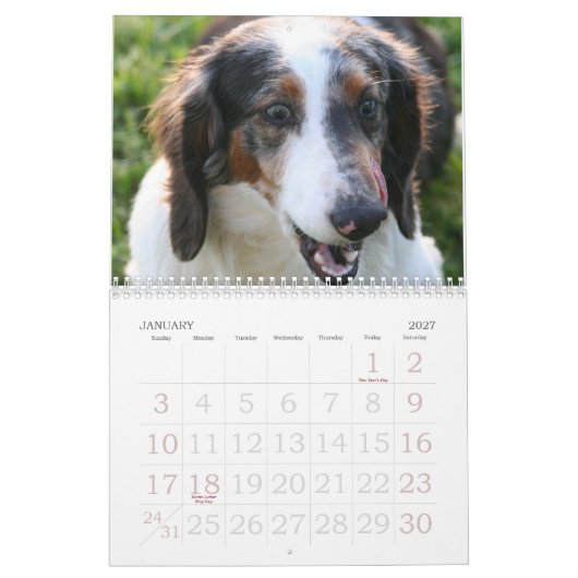 Dachshund Calender Kalender (Jan 2027)