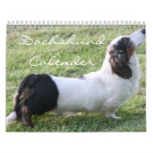 Dachshund Calender Kalender (Hoes)