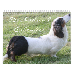 Dachshund Calender Kalender