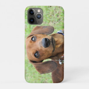 Dachshund Case-Mate iPhone Case