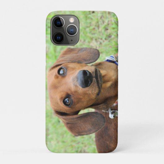 Dachshund Case-Mate iPhone Case (Achterkant)