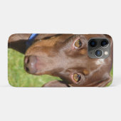 Dachshund Case-Mate iPhone Case (Achterkant (horizontaal))