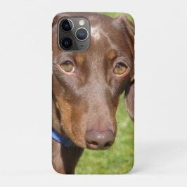 Dachshund Case-Mate iPhone Case