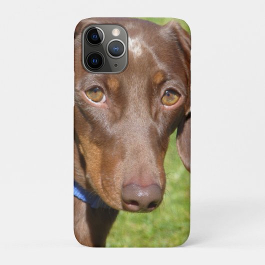 Dachshund Case-Mate iPhone Case (Achterkant)