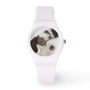 Dachshund/Chihuahua vrouw puppy staring Horloge