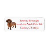 Dachshund Chocolade Bruin Puppy Hond Rood Etiket (Voorkant)