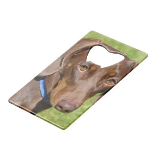 Dachshund Creditkaart Flessenopener