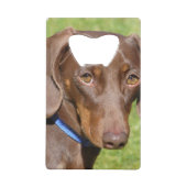 Dachshund Creditkaart Flessenopener (Achterkant)