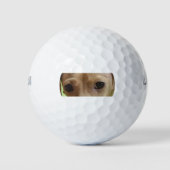 Dachshund Crème Ogen Golfballen (Voorkant)