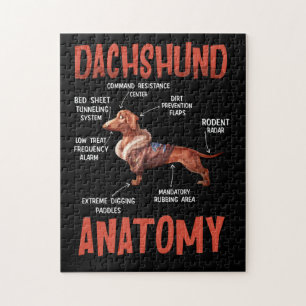 Dachshund Cute for Wiener Doxie Lovers Anatomy Legpuzzel