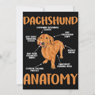 Dachshund Cute Gifts Wiener Doxie Lovers Bedankkaart