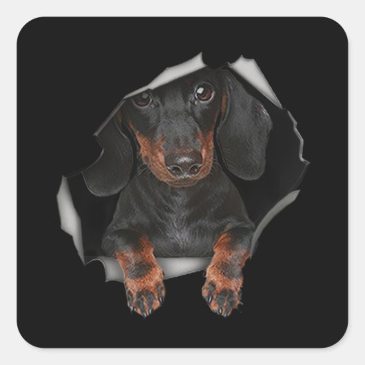 Dachshund Cute Graphic Pet Clothing Hondenliefhebb Vierkante Sticker (Voorkant)