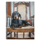Dachshund Cute Notitieboek (Voorkant)