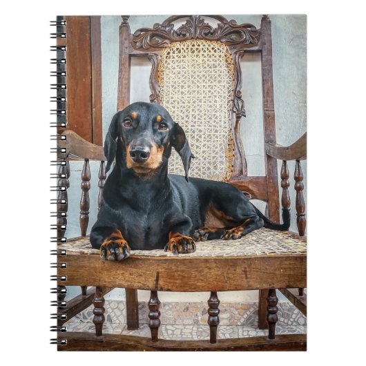 Dachshund Cute Notitieboek (Voorkant)