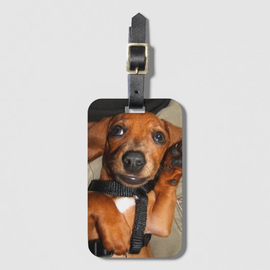 Dachshund Cute Pet Puppy Bagagelabel (Voorkant (verticaal))