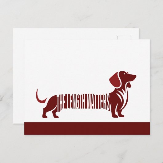 Dachshund - De lengte doet ertoe Briefkaart (Voorkant / Achterkant)