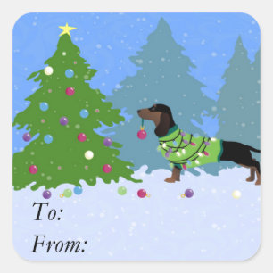 Dachshund Decorteert kerstbomen in het bos Vierkante Sticker