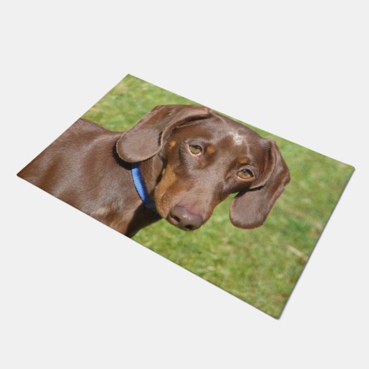 Dachshund Deurmat (Schuin)
