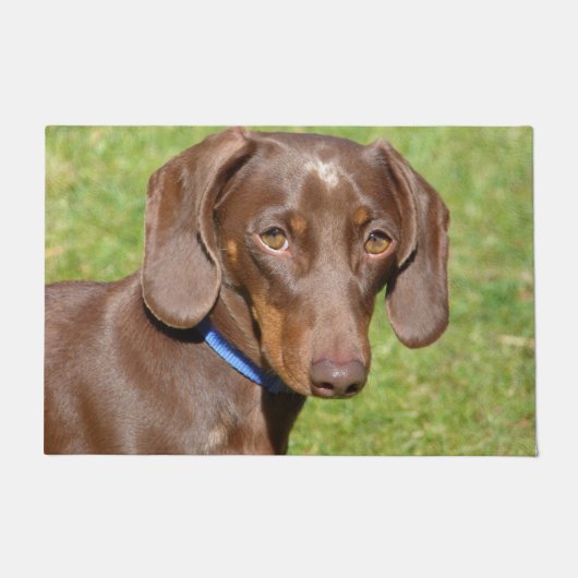 Dachshund Deurmat (Voorkant)