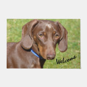 Dachshund deurmat (Voorkant)