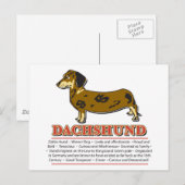 Dachshund Dictionary Briefkaart (Voorkant / Achterkant)
