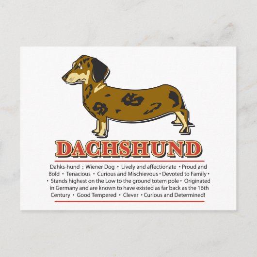 Dachshund Dictionary Briefkaart (Voorkant)