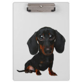 Dachshund Dog Caricature Cliboard Klembord (Voorkant)