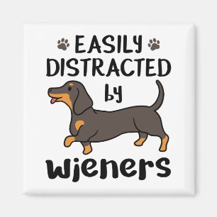 Dachshund Dog Easily Distracted by Wieners Magneet