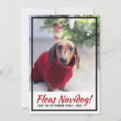 Dachshund Dog-foto's afdrukken kerstcadeau Feestdagenkaart (Voorkant)