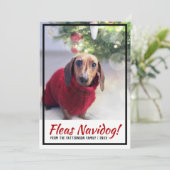 Dachshund Dog-foto's afdrukken kerstcadeau Feestdagenkaart (Staand voorkant)