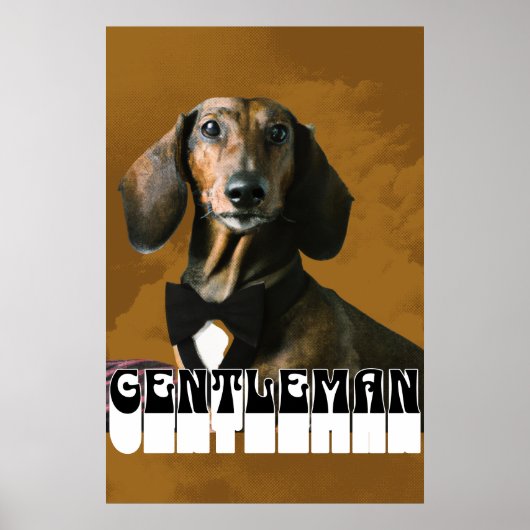 Dachshund Dog Gentleman Poster (Voorkant)