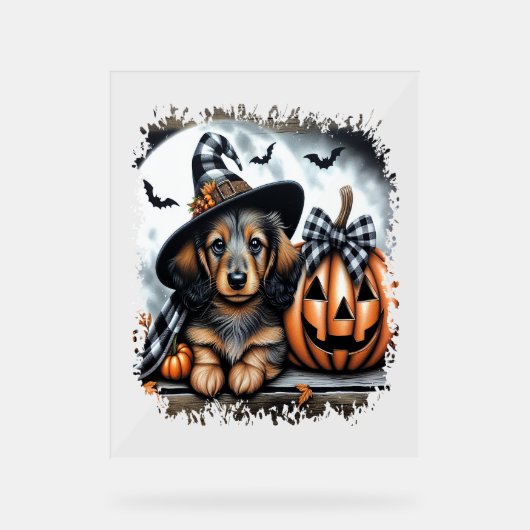 Dachshund Dog Halloween Acryl Bord (Voorkant)