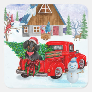 Dachshund Dog in kerstcadeauwagen Vierkante Sticker