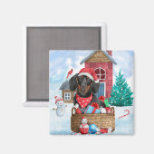 Dachshund Dog in sneeuwkersthondenhuis Magneet (Voorkant / Achterkant)