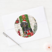 Dachshund Dog Kerstmis Ronde Sticker (Envelop)