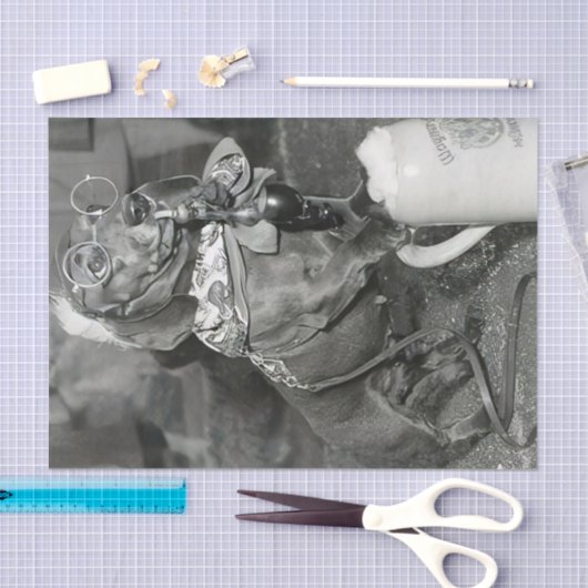 Dachshund Dog met Pipe & Beer Tissuepapier (Craft)