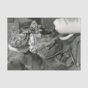  Dachshund Dog met Pipe & Beer Tissuepapier