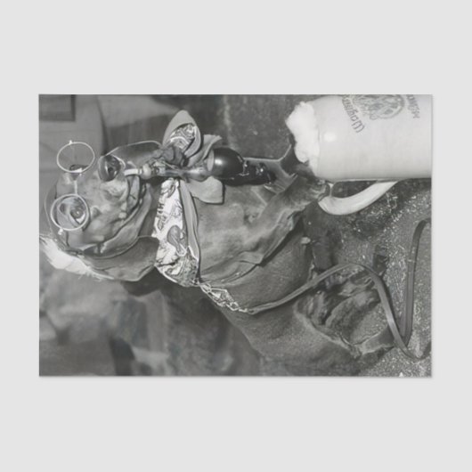 Dachshund Dog met Pipe & Beer Tissuepapier (Voorkant)