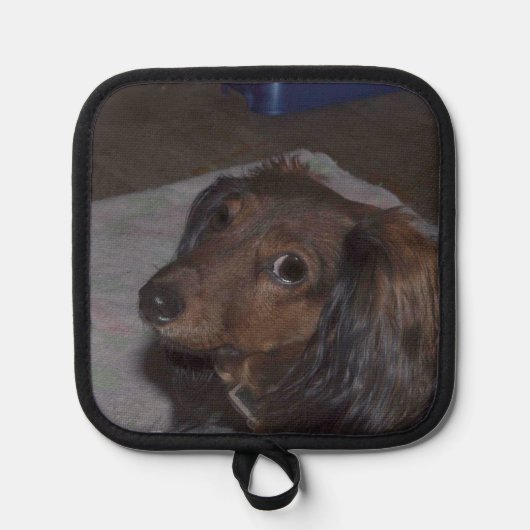 Dachshund Dog Pannenlap (Voorkant)