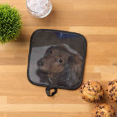 Dachshund Dog Pannenlap (Top down)