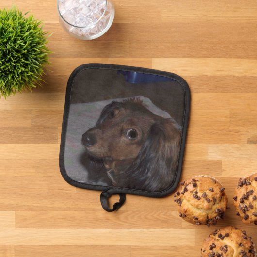 Dachshund Dog Pannenlap (Top down)