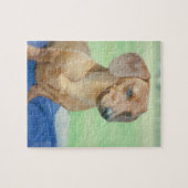 Dachshund Dog Puzzle Legpuzzel (Horizontaal)