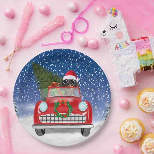 Dachshund Dog rijdt met sneeuwkerst Papieren Bordje (Feest)