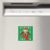 Dachshund Dog Ugly kerst Magneet (Insitu (Vaatwasser))