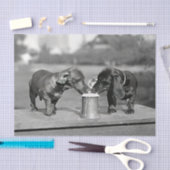 Dachshund Dogs Drink Beer Tissuepapier (Craft)