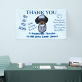 Dachshund Dokter Spandoek (Beurs)