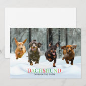 Dachshund door de Sneeuw 4 rennende Honden Grappig Feestdagenkaart (Voorkant / Achterkant)